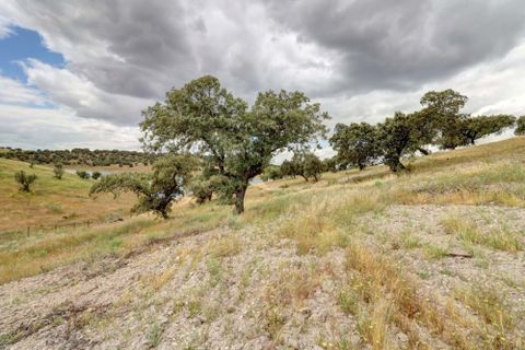 Farm i Moura, Beja, Moura - € 800.000 | Ref: OLIR0018 - foto 19