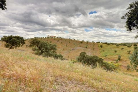 Farm i Moura, Beja, Moura - € 800.000 | Ref: OLIR0018 - foto 20