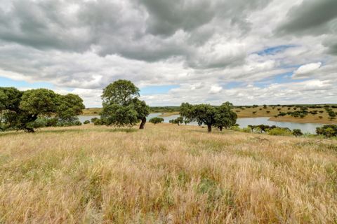 Farm i Moura, Beja, Moura - € 800.000 | Ref: OLIR0018 - foto 22