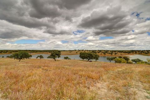 Farm i Moura, Beja, Moura - € 800.000 | Ref: OLIR0018 - foto 23