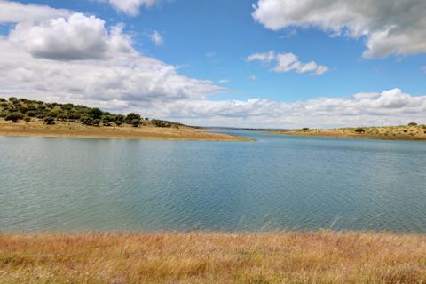 Farm i Moura, Beja, Moura - € 800.000 | Ref: OLIR0018 - foto 25