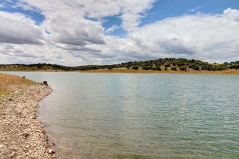 Farm i Moura, Beja, Moura - € 800.000 | Ref: OLIR0018 - foto 28