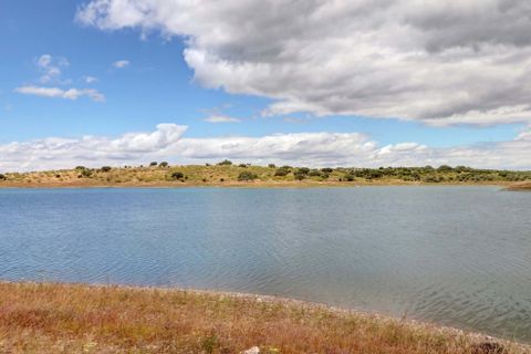 Farm i Moura, Beja, Moura - € 800.000 | Ref: OLIR0018 - foto 29