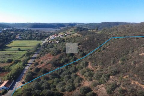 Farm hus i Silves, Faro, Silves - € 779.000 | Ref: 1769 - foto 5