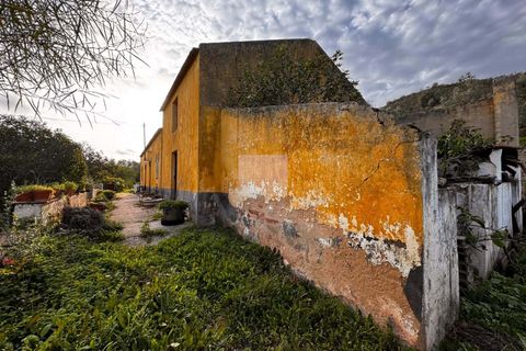 Farm hus i Silves, Faro, Silves - € 779.000 | Ref: 1769 - foto 18