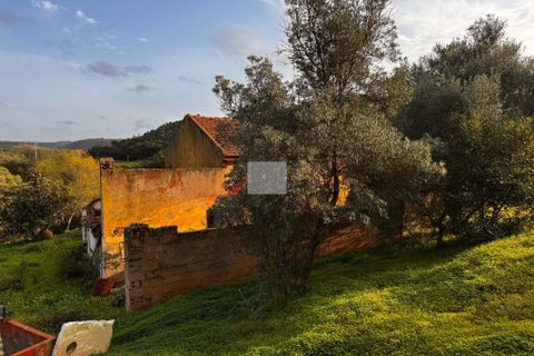 Farm hus i Silves, Faro, Silves - € 779.000 | Ref: 1769 - foto 25