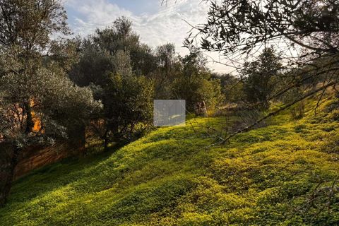 Farm hus i Silves, Faro, Silves - € 779.000 | Ref: 1769 - foto 28