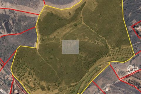Farm hus i Silves, Faro, Silves - € 779.000 | Ref: 1769 - foto 36