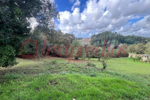 Helårsgrund i Agueda, Aveiro, Agueda - € 67.000 | Ref: AG 4211 - foto 2