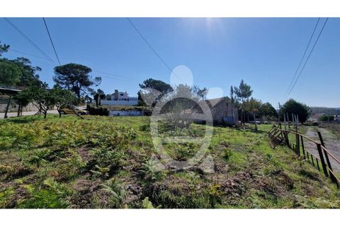 Terra a Quiaios, Coimbra, Quiaios - € 31.900 | Ref: ff1348 - foto 4
