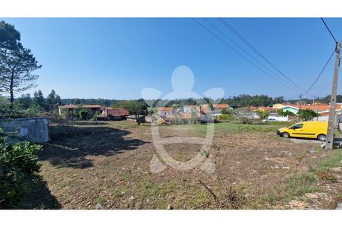 Terra a Quiaios, Coimbra, Quiaios - € 31.900 | Ref: ff1348 - foto 5