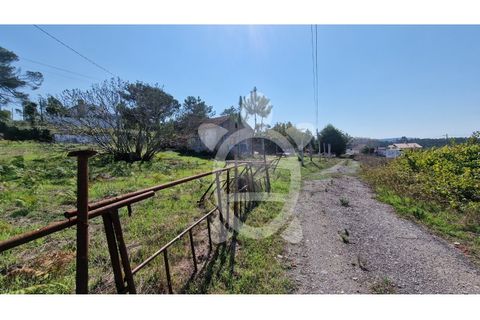 Terra a Quiaios, Coimbra, Quiaios - € 31.900 | Ref: ff1348 - foto 6