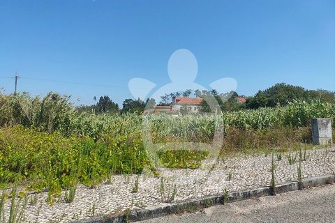 Helårsgrund i Lavos, Coimbra, Lavos - € 24.150 | Ref: ff1337 - foto 1
