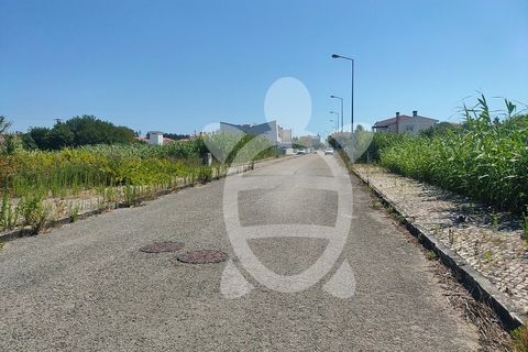 Helårsgrund i Lavos, Coimbra, Lavos - € 24.150 | Ref: ff1337 - foto 4