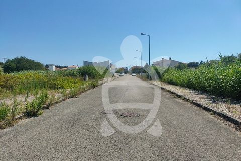 Helårsgrund i Lavos, Coimbra, Lavos - € 24.150 | Ref: ff1337 - foto 5