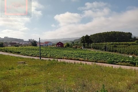 Villa i A dos Francos, Leiria, A dos Francos - € 399.000 | Ref: SCL1038 - foto 7