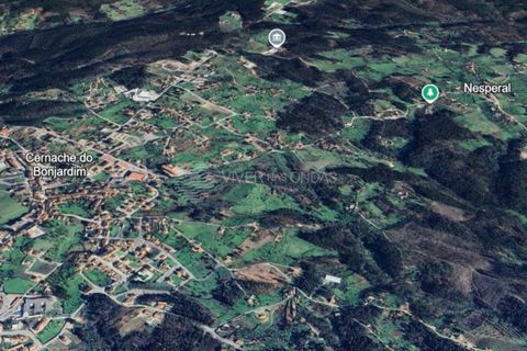 Landejendom i Serta, Castelo Branco, Serta - € 85.000 | Ref: JD-1041 - foto 21