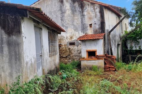 Landejendom i Serta, Castelo Branco, Serta - € 85.000 | Ref: JD-1041 - foto 2