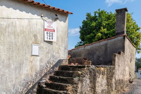 Landejendom i Serta, Castelo Branco, Serta - € 85.000 | Ref: JD-1041 - foto 3