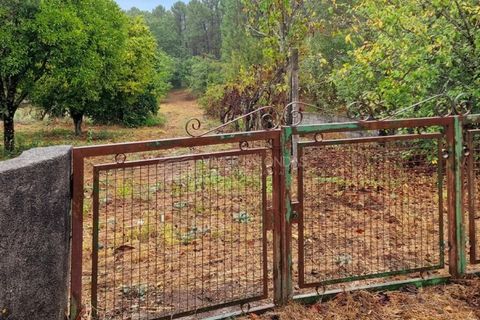 Landejendom i Serta, Castelo Branco, Serta - € 85.000 | Ref: JD-1041 - foto 4