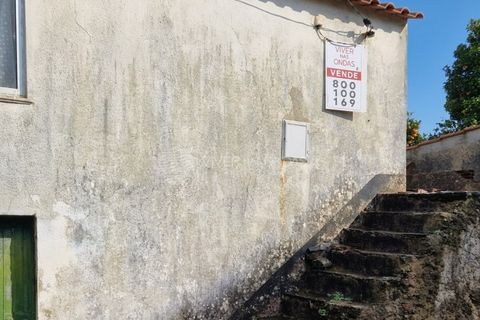 Landejendom i Serta, Castelo Branco, Serta - € 85.000 | Ref: JD-1041 - foto 5