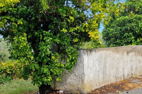Landejendom i Serta, Castelo Branco, Serta - € 85.000 | Ref: JD-1041 - foto 8