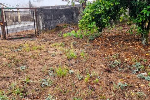 Landejendom i Serta, Castelo Branco, Serta - € 85.000 | Ref: JD-1041 - foto 9
