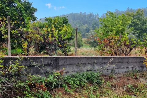 Landejendom i Serta, Castelo Branco, Serta - € 85.000 | Ref: JD-1041 - foto 10