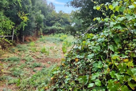 Landejendom i Serta, Castelo Branco, Serta - € 85.000 | Ref: JD-1041 - foto 13