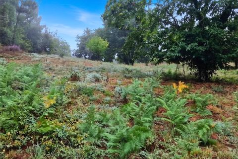 Landejendom i Serta, Castelo Branco, Serta - € 85.000 | Ref: JD-1041 - foto 14
