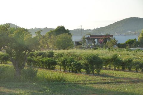 Villa i Can Tomas, Ibiza, Can Tomas - € 1.600.000 | Ref: HH-14493744 - foto 6