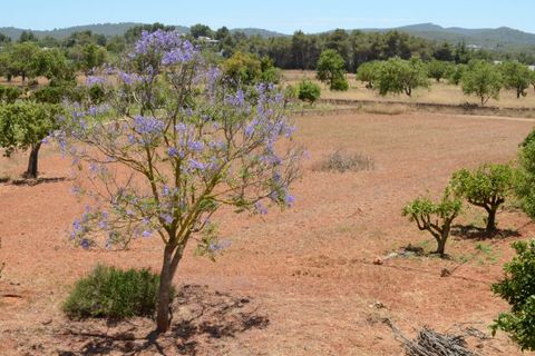 Villa i Can Tomas, Ibiza, Can Tomas - € 1.600.000 | Ref: HH-14493744 - foto 11