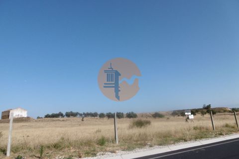 Terra a Algoz, Faro, Algoz - € 4.500.000 | Ref: SU-CS-LOT_32969 - foto 6