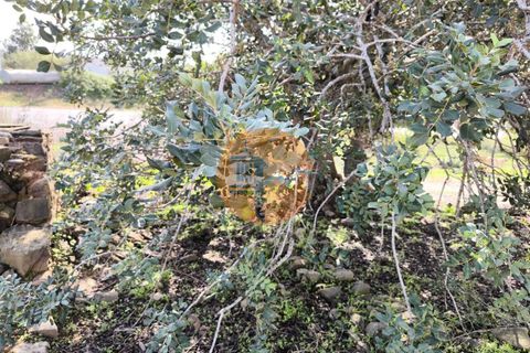 Villa i Castro Marim, Faro, Castro Marim - € 57.500 | Ref: SU-CS-MOR-92692 - foto 8