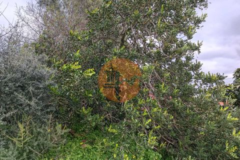 Villa i Castro Marim, Faro, Castro Marim - € 79.000 | Ref: SU-CS-MOR-88513 - foto 25