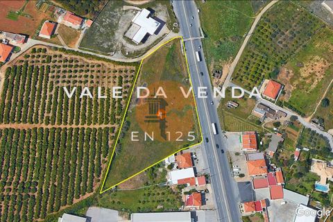 Helårsgrund i Almancil, Faro, Almancil - € 3.000.000 | Ref: SU-CS-TER-60331 - foto 2