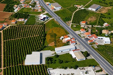 Helårsgrund i Almancil, Faro, Almancil - € 3.000.000 | Ref: SU-CS-TER-60331 - foto 4