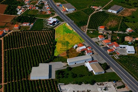 Helårsgrund i Almancil, Faro, Almancil - € 3.000.000 | Ref: SU-CS-TER-60331 - foto 5