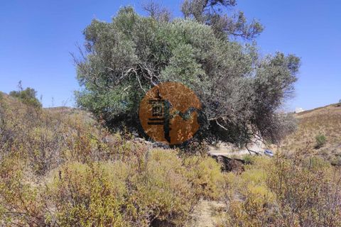 Helårsgrund i Castro Marim, Faro, Castro Marim - € 480.000 | Ref: SU-CS-TU-92419 - foto 7