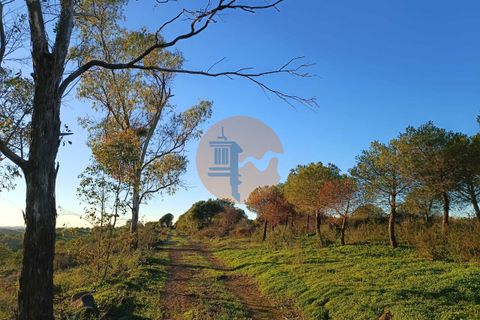 Helårsgrund i Castro Marim, Faro, Castro Marim - € 220.000 | Ref: SU-CS-TER-90868 - foto 5