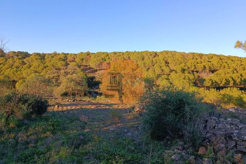 Helårsgrund i Castro Marim, Faro, Castro Marim - € 220.000 | Ref: SU-CS-TER-90868 - foto 9