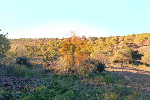Helårsgrund i Castro Marim, Faro, Castro Marim - € 220.000 | Ref: SU-CS-TER-90868 - foto 11