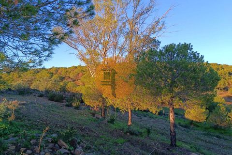 Helårsgrund i Castro Marim, Faro, Castro Marim - € 220.000 | Ref: SU-CS-TER-90868 - foto 20