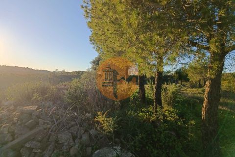 Helårsgrund i Castro Marim, Faro, Castro Marim - € 220.000 | Ref: SU-CS-TER-90868 - foto 21