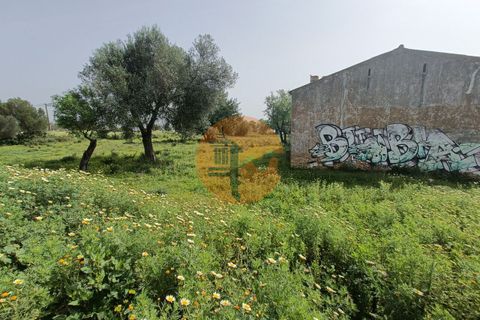 Helårsgrund i Olhao, Faro, Olhao - € 600.000 | Ref: SU-CS-TM-91364 - foto 11