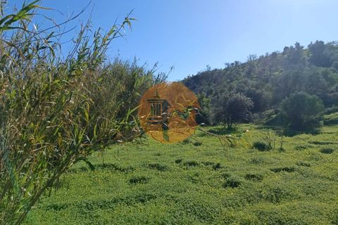 Helårsgrund i Castro Marim, Faro, Castro Marim - € 29.900 | Ref: SU-CS-TR-91166 - foto 13