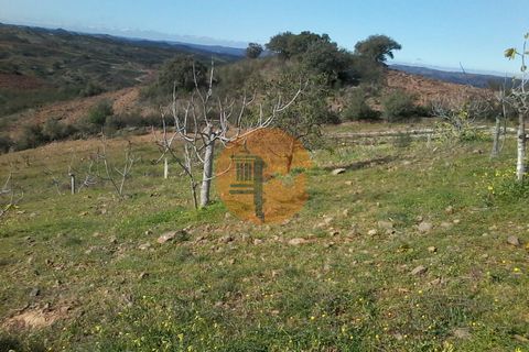 Helårsgrund i Castro Marim, Faro, Castro Marim - € 150.000 | Ref: SU-CS-TU-4011 - foto 6