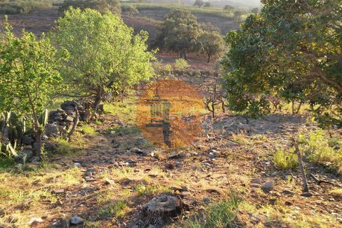 Helårsgrund i Castro Marim, Faro, Castro Marim - € 150.000 | Ref: SU-CS-TU-4011 - foto 11