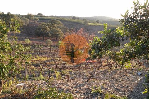 Helårsgrund i Castro Marim, Faro, Castro Marim - € 150.000 | Ref: SU-CS-TU-4011 - foto 14