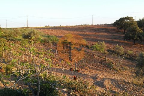 Helårsgrund i Castro Marim, Faro, Castro Marim - € 150.000 | Ref: SU-CS-TU-4011 - foto 24